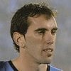 diego_godin.jpg