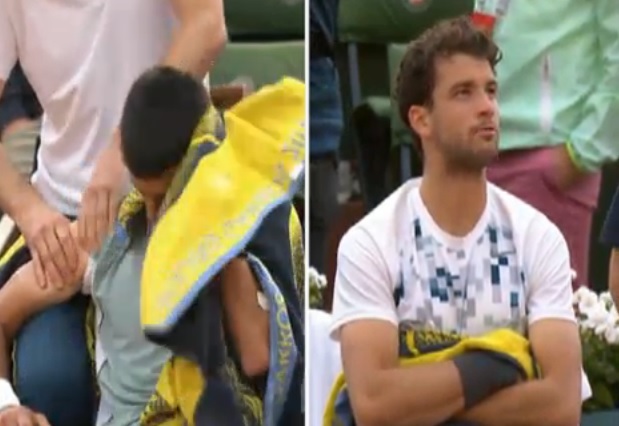 gri6_nole.jpg